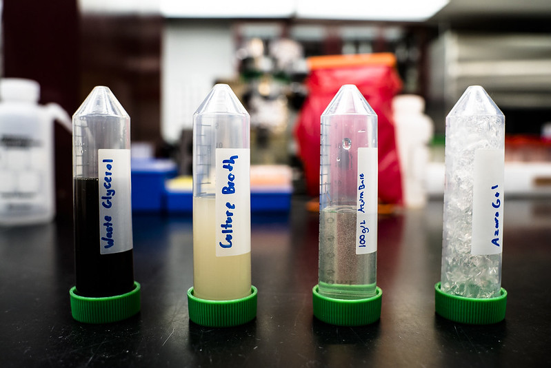 Several test tubes containing various fluids