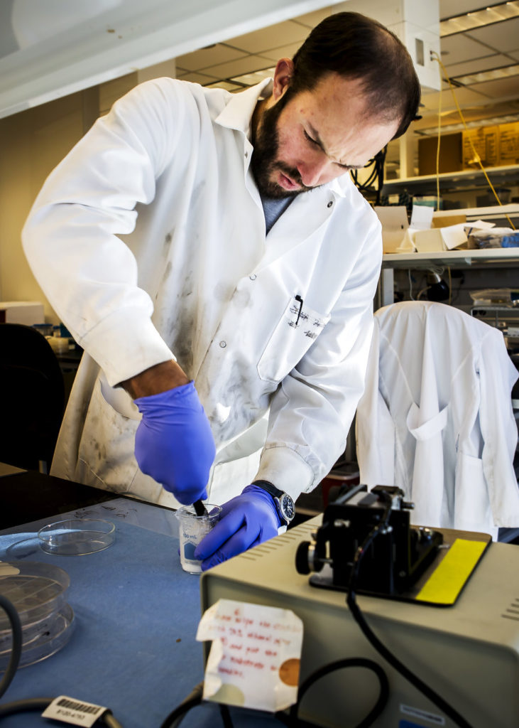 Joseph Labuz, BME PhD Student mixes a batch of sugar in the lab