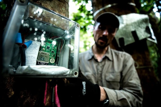 A plastic enclosure with electronics on a tree, with a person in the background in a lush, green forest.