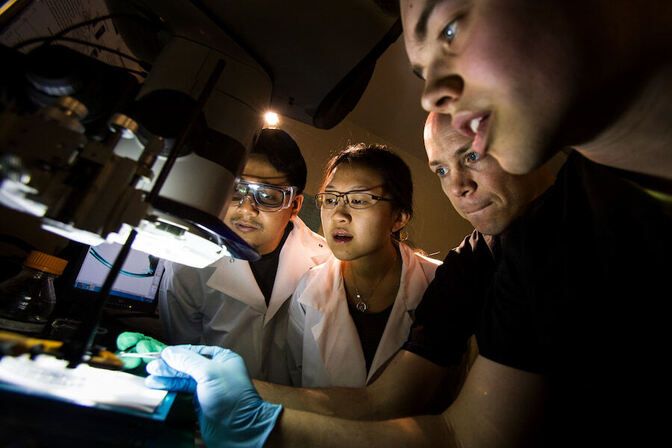 Biomedical Engineering (BIOMEDE)