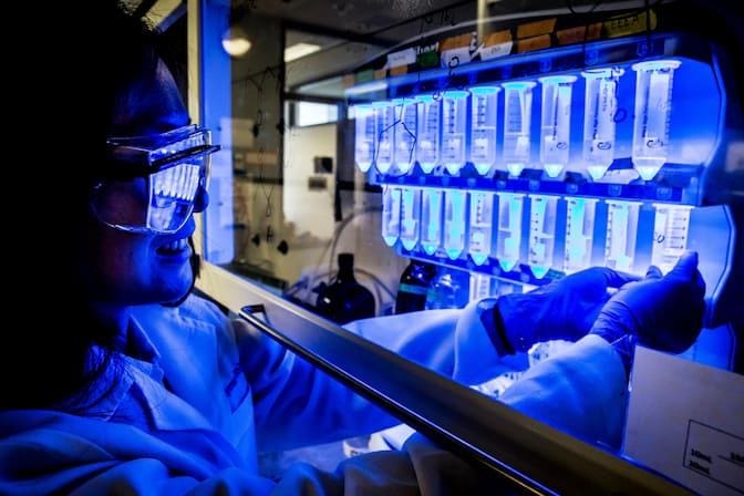 Chemical Engineering (CHE)