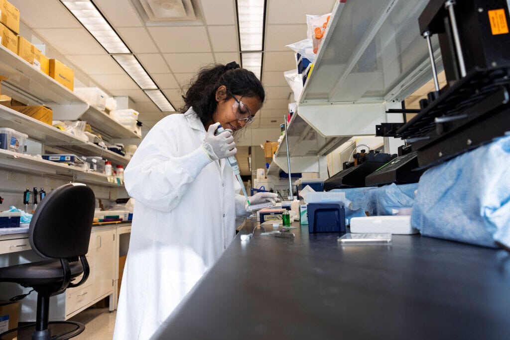Student in lab space and white coat actively concentrating on pipetting green liquid into smaller containers.